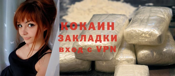 твердый Бронницы