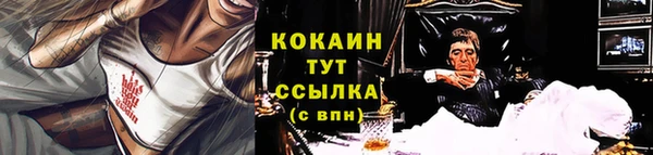 ПСИЛОЦИБИНОВЫЕ ГРИБЫ Бородино