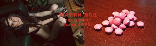 ПСИЛОЦИБИНОВЫЕ ГРИБЫ Бородино