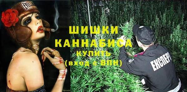 ПСИЛОЦИБИНОВЫЕ ГРИБЫ Бородино