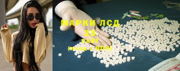 ПСИЛОЦИБИНОВЫЕ ГРИБЫ Бородино