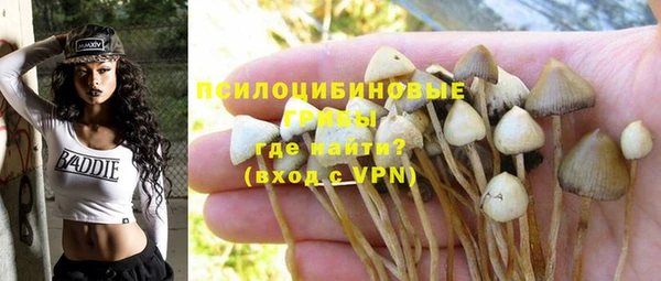 ешки Бугульма