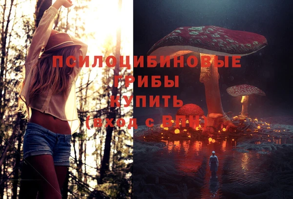 ешки Бугульма