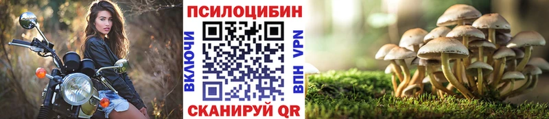 Галлюциногенные грибы Psilocybine cubensis  Магнитогорск 