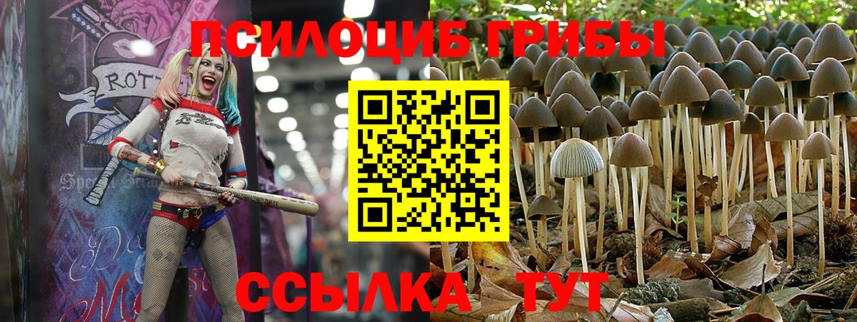 купить наркотики цена  Вход с VPN  Магнитогорск  Псилоцибиновые грибы Psilocybe 