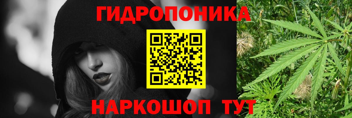 Каннабис сатива  Бошки марихуана Bruce Banner  Вход с VPN  Бошки Шишки марихуана  Магнитогорск 